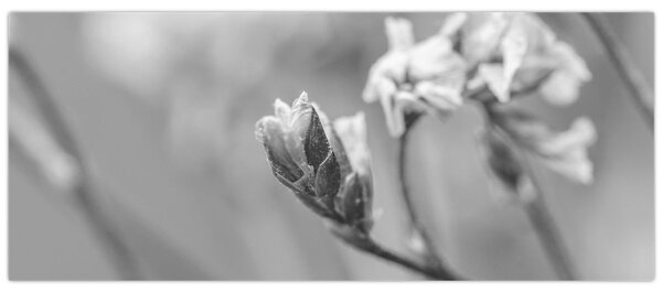 Tablou - Floare înflorită (120x50 cm)