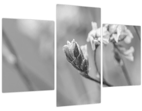 Tablou - Floare înflorită (90x60 cm)