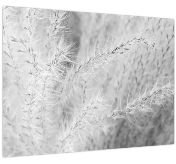 Tablou - Iarbă de pampas N⁰1 (70x50 cm)