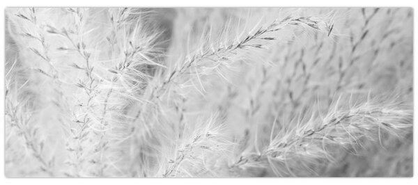 Tablou - Iarbă de pampas N⁰1 (120x50 cm)