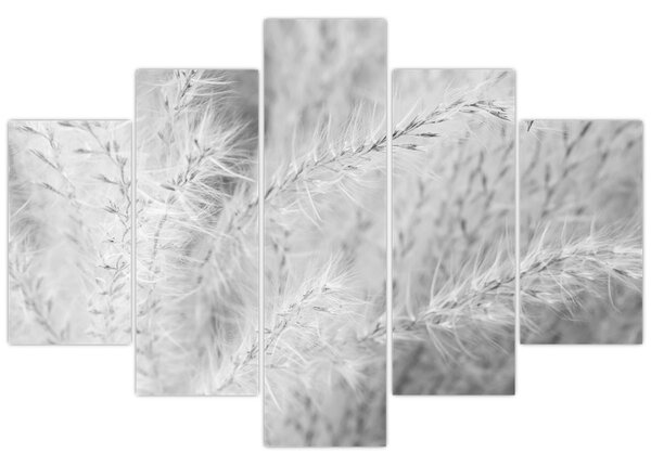 Tablou - Iarbă de pampas N⁰1 (150x105 cm)