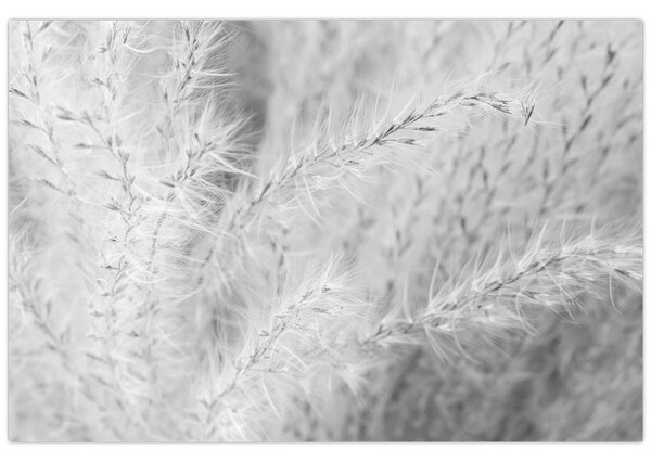 Tablou - Iarbă de pampas N⁰1 (90x60 cm)