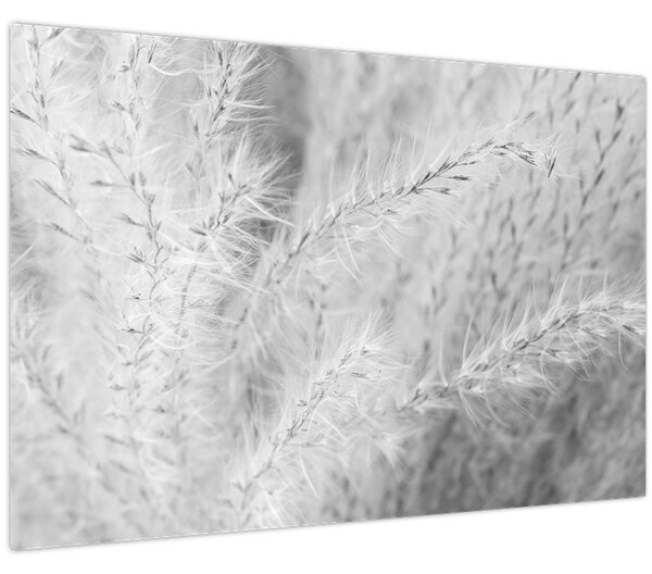 Tablou - Iarbă de pampas N⁰1 (90x60 cm)