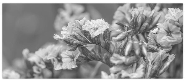 Tablou - Flori uscate (120x50 cm)