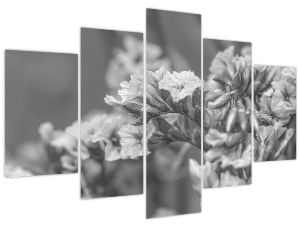 Tablou - Flori uscate (150x105 cm)