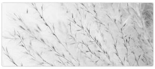Tablou - Iarbă de pampas N⁰2 (120x50 cm)