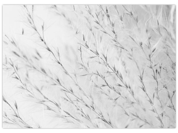 Tablou - Iarbă de pampas N⁰2 (70x50 cm)