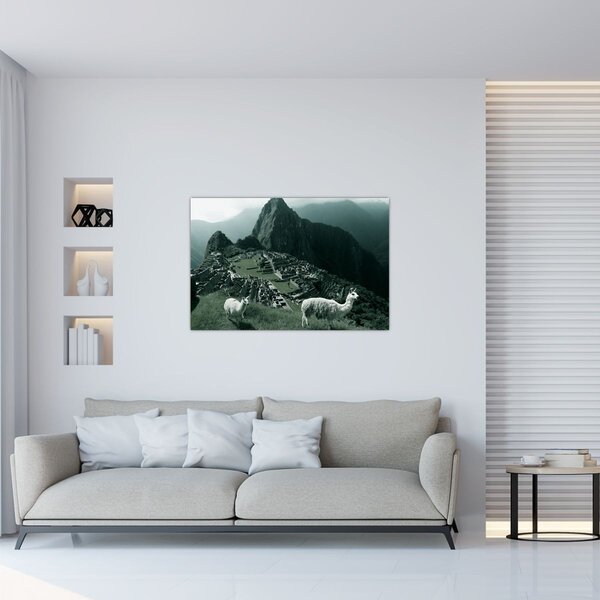 Tablou - Lamas la Machu Picchu în Peru (90x60 cm)