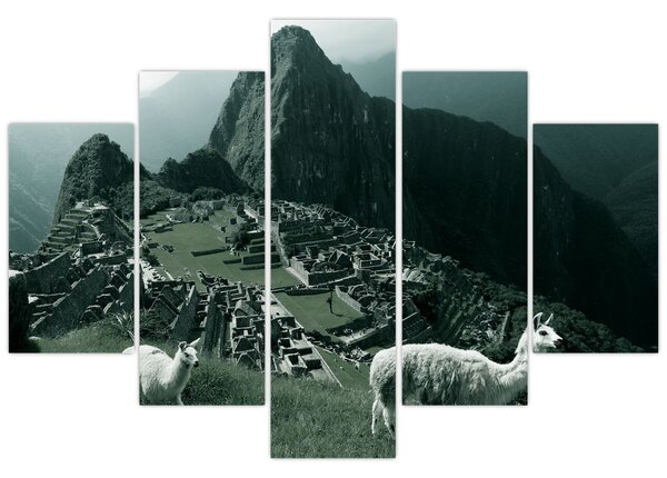 Tablou - Lamas la Machu Picchu în Peru (150x105 cm)