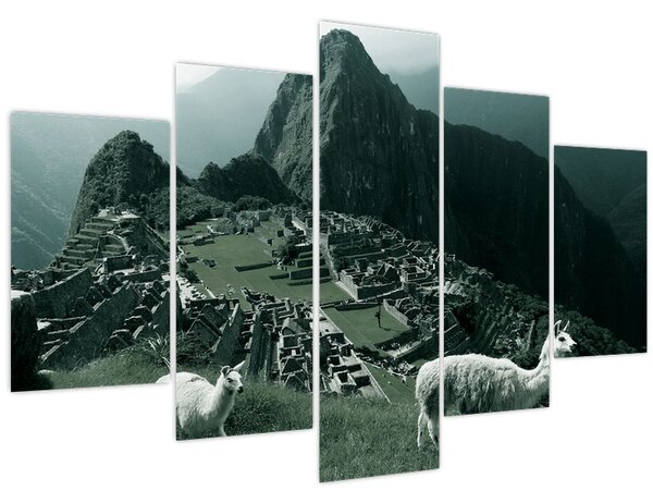 Tablou - Lamas la Machu Picchu în Peru (150x105 cm)
