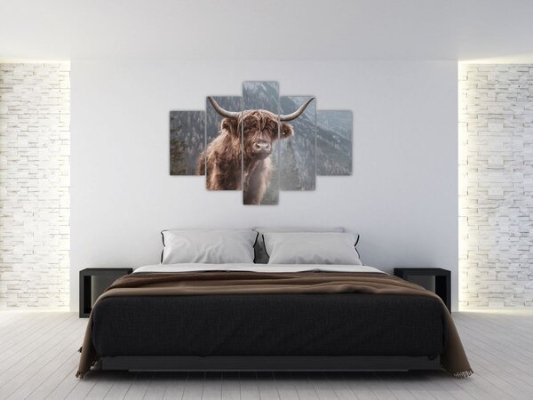 Tablou - Vaca Highlander (150x105 cm)