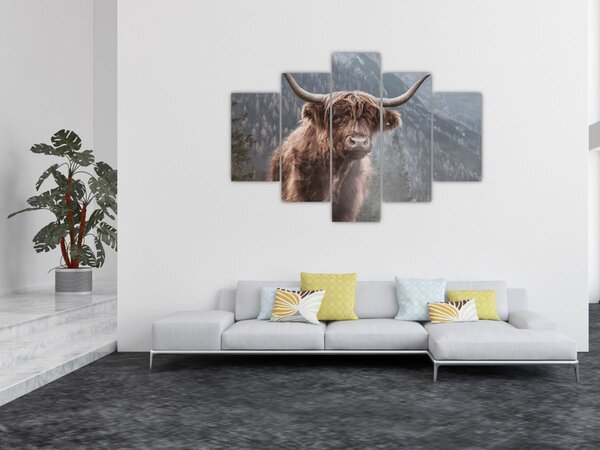 Tablou - Vaca Highlander (150x105 cm)