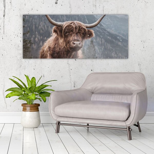 Tablou - Vaca Highlander (120x50 cm)
