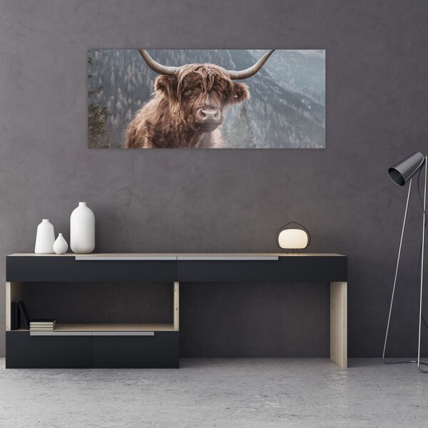 Tablou - Vaca Highlander (120x50 cm)