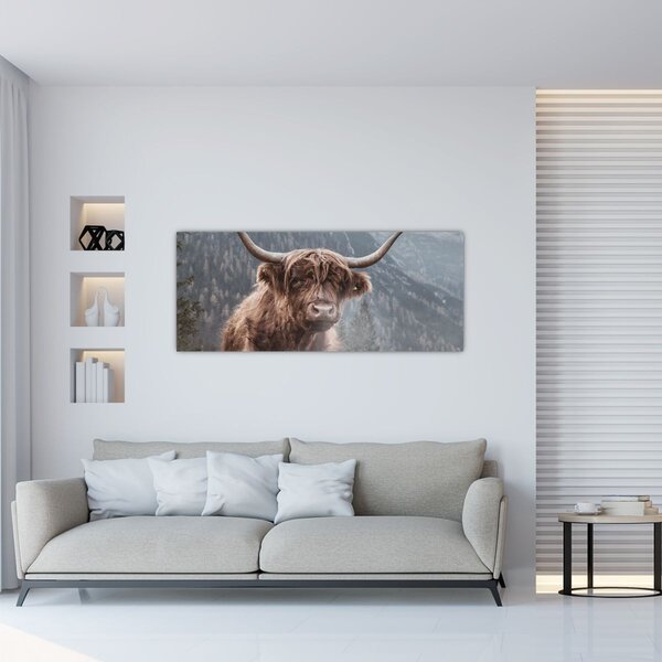 Tablou - Vaca Highlander (120x50 cm)
