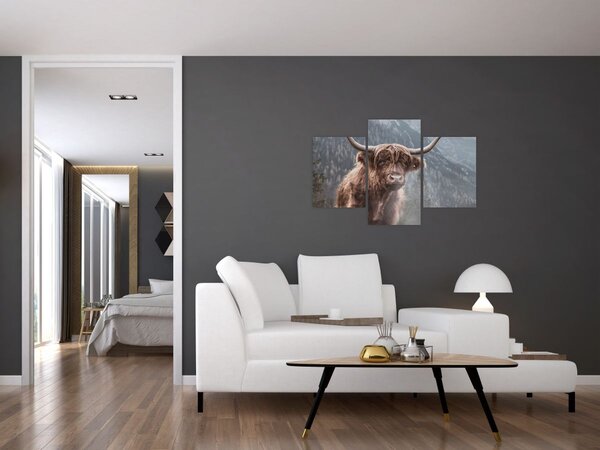 Tablou - Vaca Highlander (90x60 cm)