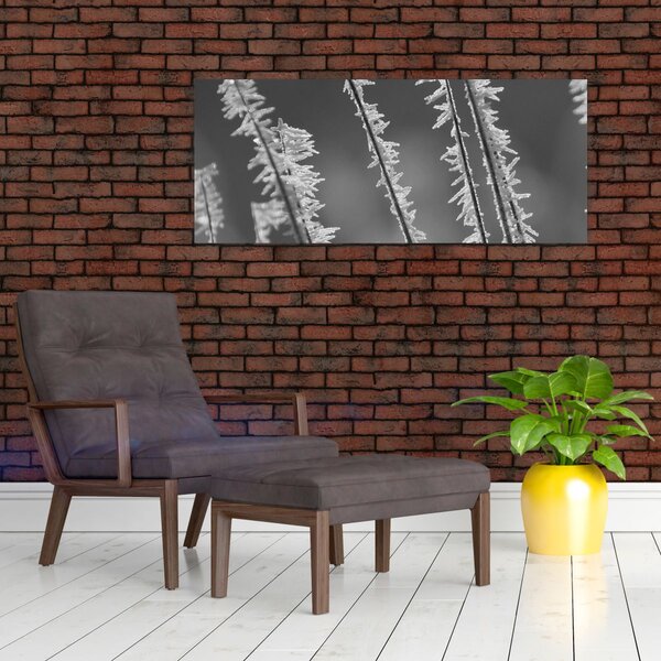 Tablou - Frig de îngheț (120x50 cm)