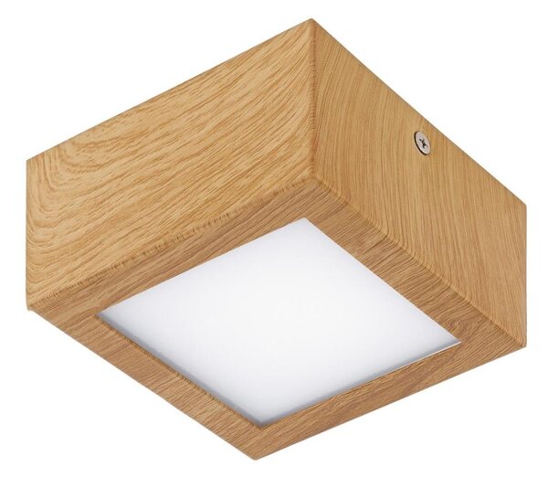 Eglo 95195 - LED Plafoniera coltGIO 1xLED/4,2W/230V
