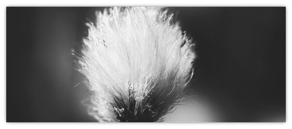 Tablou - Coțofană neagră și albă (120x50 cm)