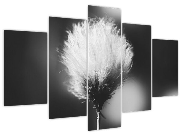 Tablou - Coțofană neagră și albă (150x105 cm)