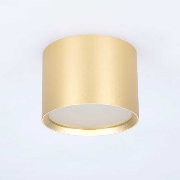 Brilagi - Spot pentru baie SMOOTH 1xGX53/15W/230V auriu IP54