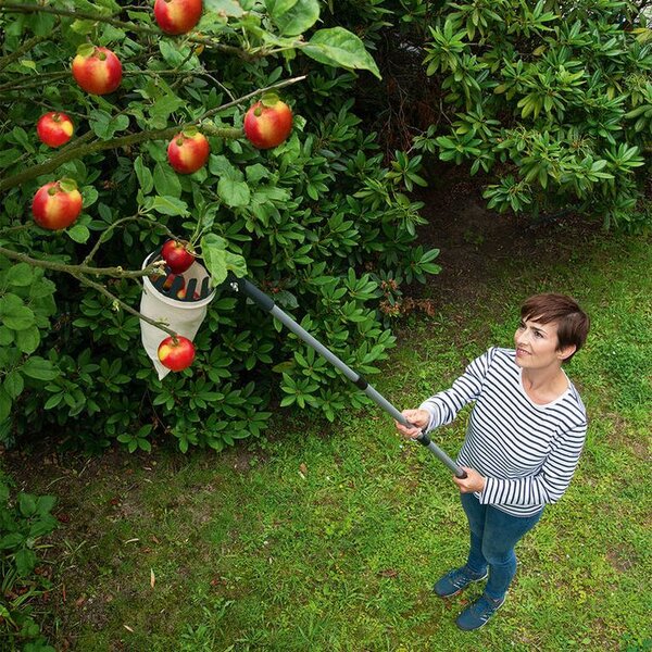 Dispozitiv de cules fructe cu mâner telescopic