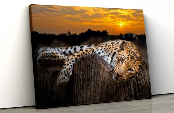 Tablou canvas ghepard