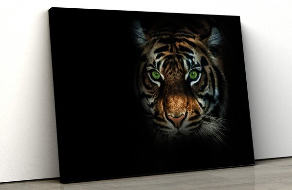 Tablou canvas "Tigru cu ochii verzi"