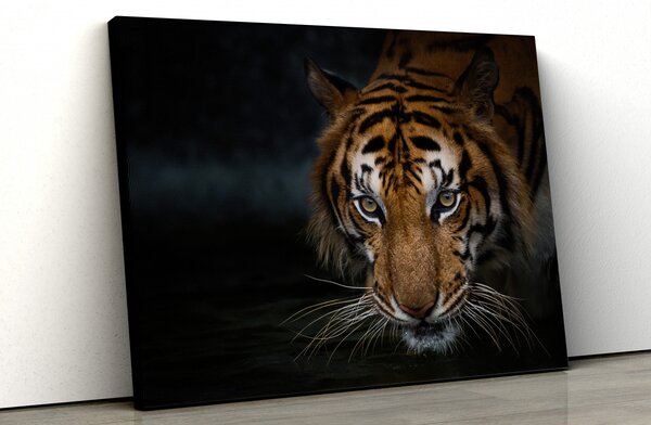 Tablou canvas "Tigru"