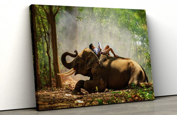Tablou canvas "Elefantul si prietenul lui"