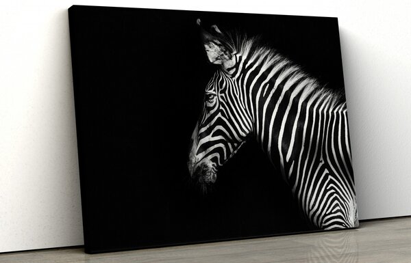 Tablou canvas "Zebra alb-negru"