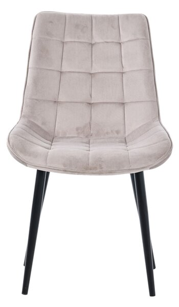 Scaun modern din catifea în culoarea trufei Firenze DC-2051