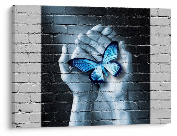 Tablou cu flutere albastru pe perete (70x50 cm)