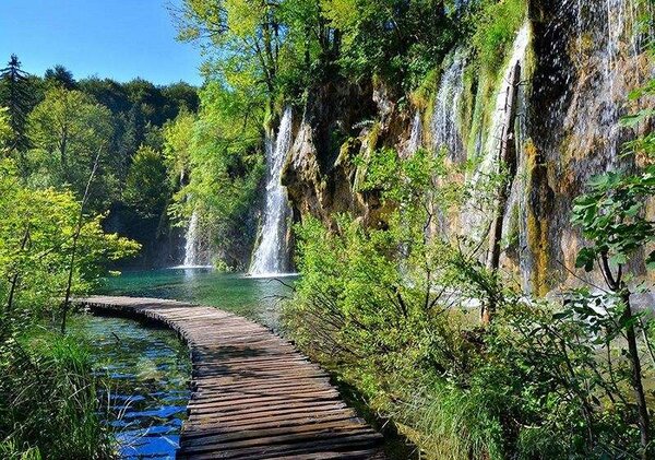 Cărare zen printre tufişuri verzi şi stânci - 11845 - Fototapet24