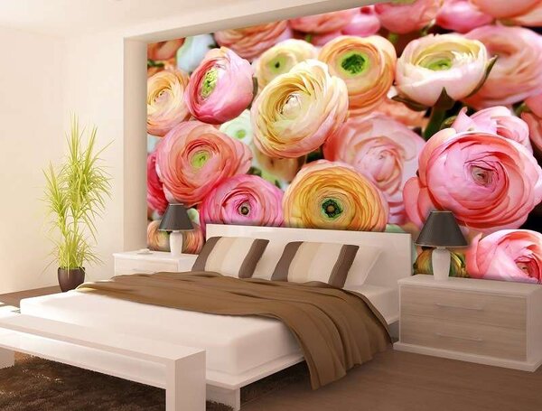 Cupe de ranunculus în culori delicate - 2298 - Fototapet24