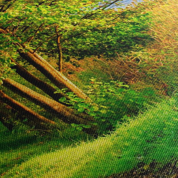Tablou - poteci pe malul apei (90x60 cm)