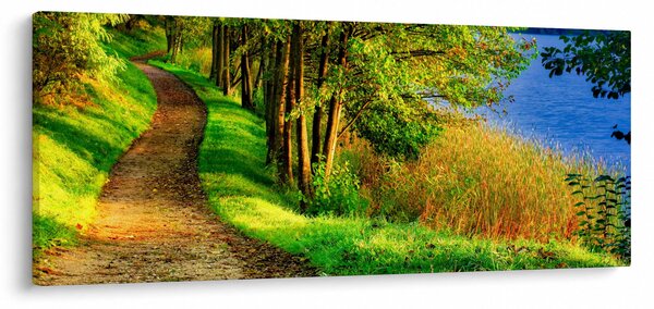 Tablou - poteci pe malul apei (120x50 cm)