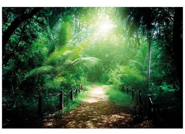Fototapet drumul la insula Seychelles
