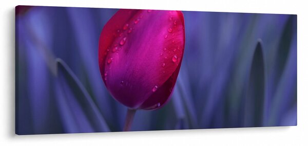 Tablou mugure de lalea (120x50 cm)
