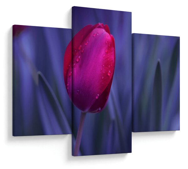 Tablou mugure de lalea (90x60 cm)