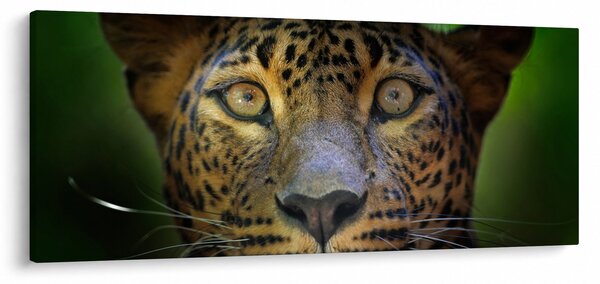 Tablou - Portretul leoparduslui, Sri Lanka (120x50 cm)
