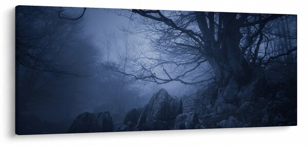 Tabloul pădurii întunecate (120x50 cm)