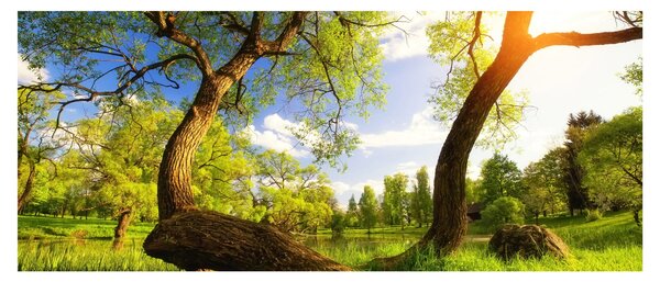 Tablou lunca ne primăvară (120x50 cm)