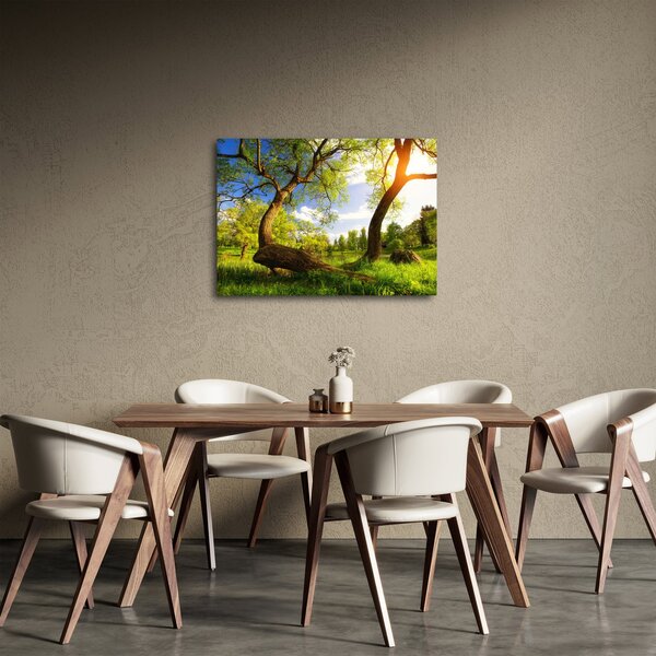 Tablou lunca ne primăvară (70x50 cm)