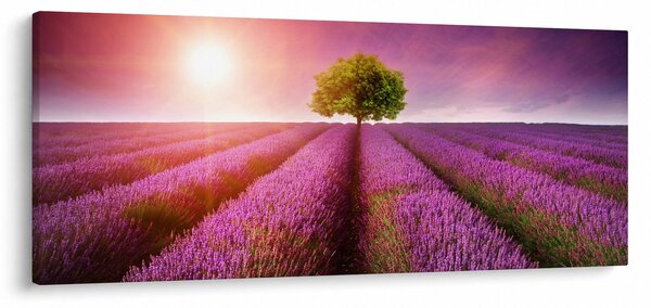 Tablou câmp cu lavandă (120x50 cm)