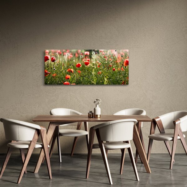 Tablou cu maci (120x50 cm)
