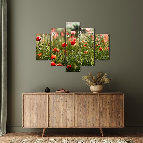 Tablou cu maci (150x105 cm)