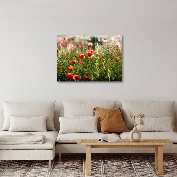 Tablou cu maci (70x50 cm)