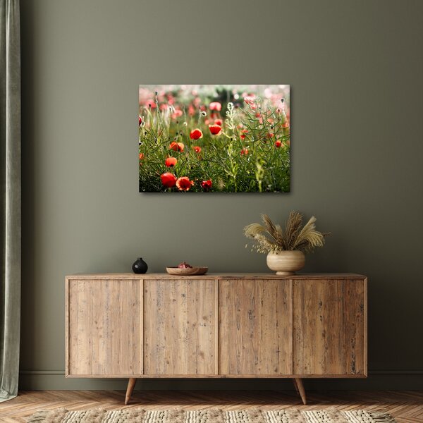 Tablou cu maci (70x50 cm)
