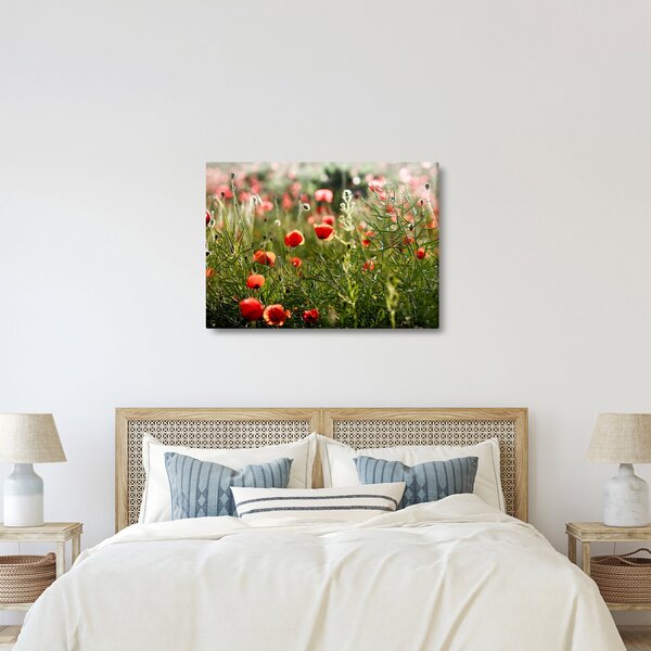 Tablou cu maci (70x50 cm)